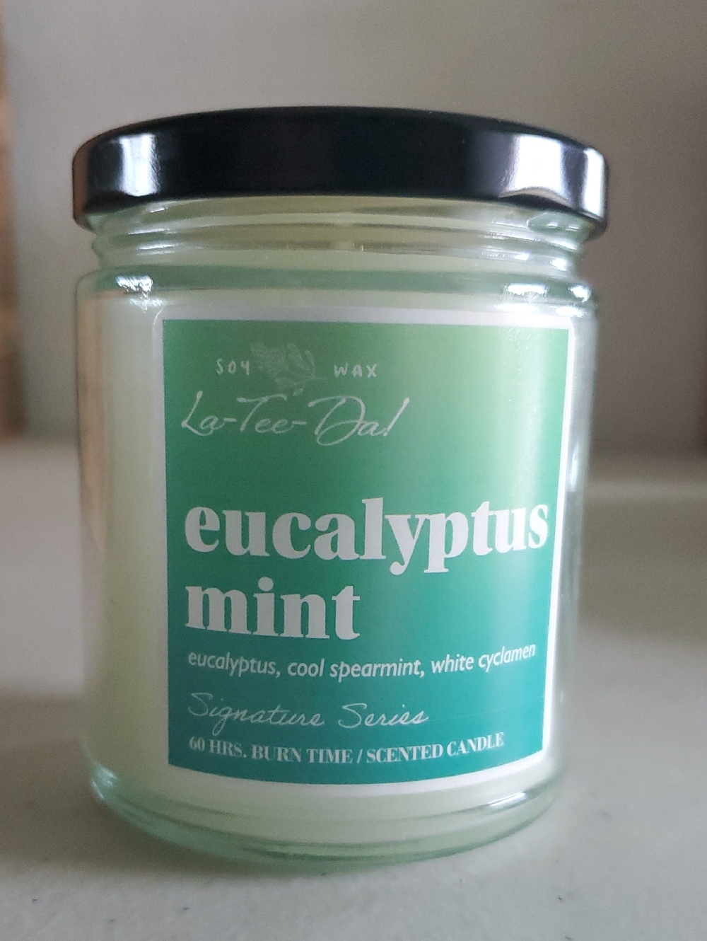 All Soy Jar Candle-Eucalyptus Mint, burns approx 60 hours Celebrating Home NEW